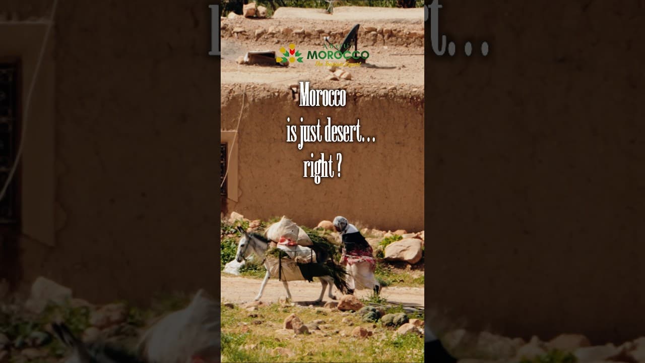 Morocco is just a desert… right? 🤔