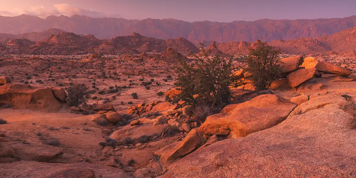 Sahara Desert in autumn with golden dunes and mild temperatures