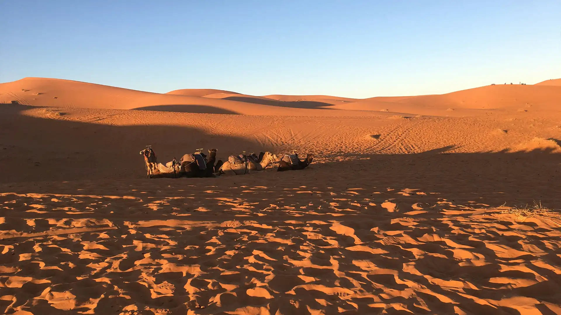 Errachidia Morocco oasis landscape and desert gateway scenery