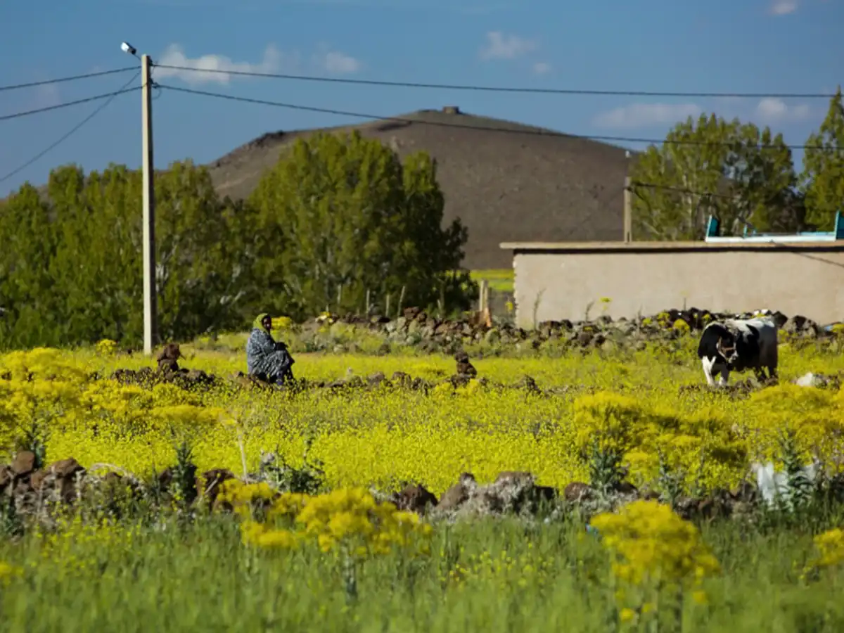 Rural countryside life near Errachidia Morocco in the Ziz region