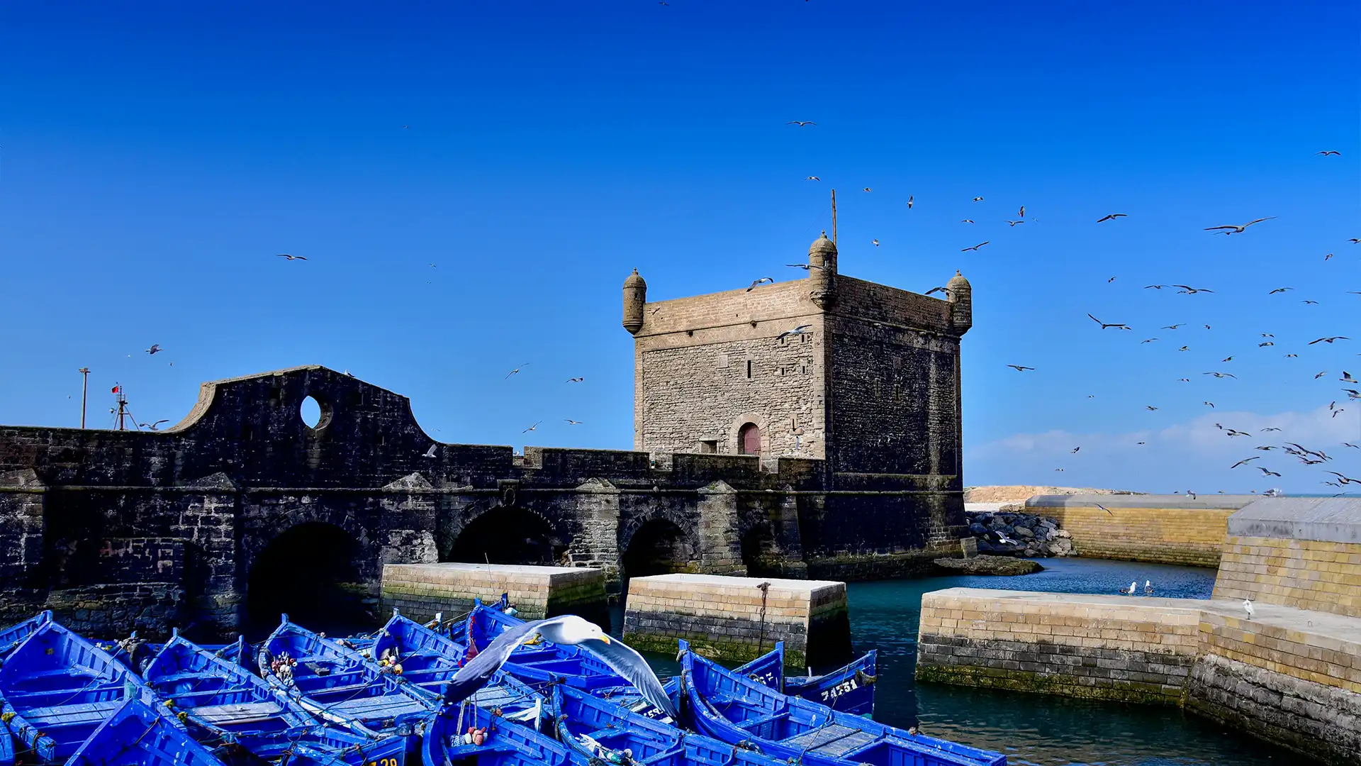 Essaouira Morocco medina and Atlantic coast with historic walls