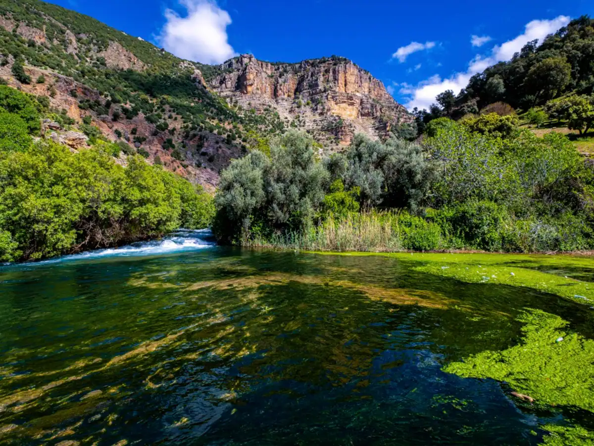 Middle Atlas river landscape near Ifrane Morocco natural scenery