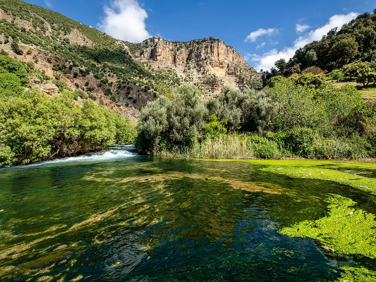 Ifrane Morocco alpine-style town and cedar forest landscape