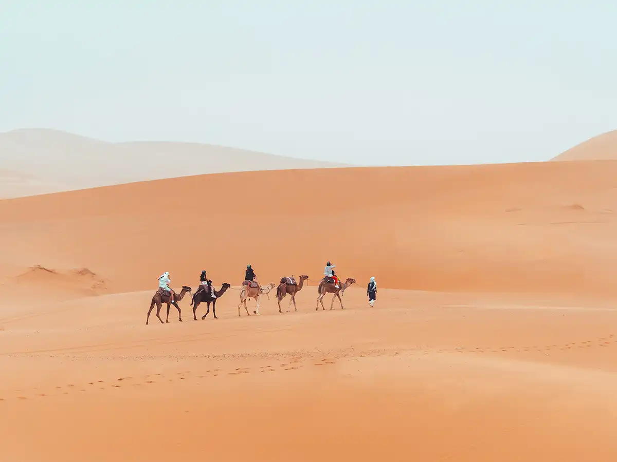 Camel trek crossing the Erg Chebbi dunes near Merzouga, Morocco
