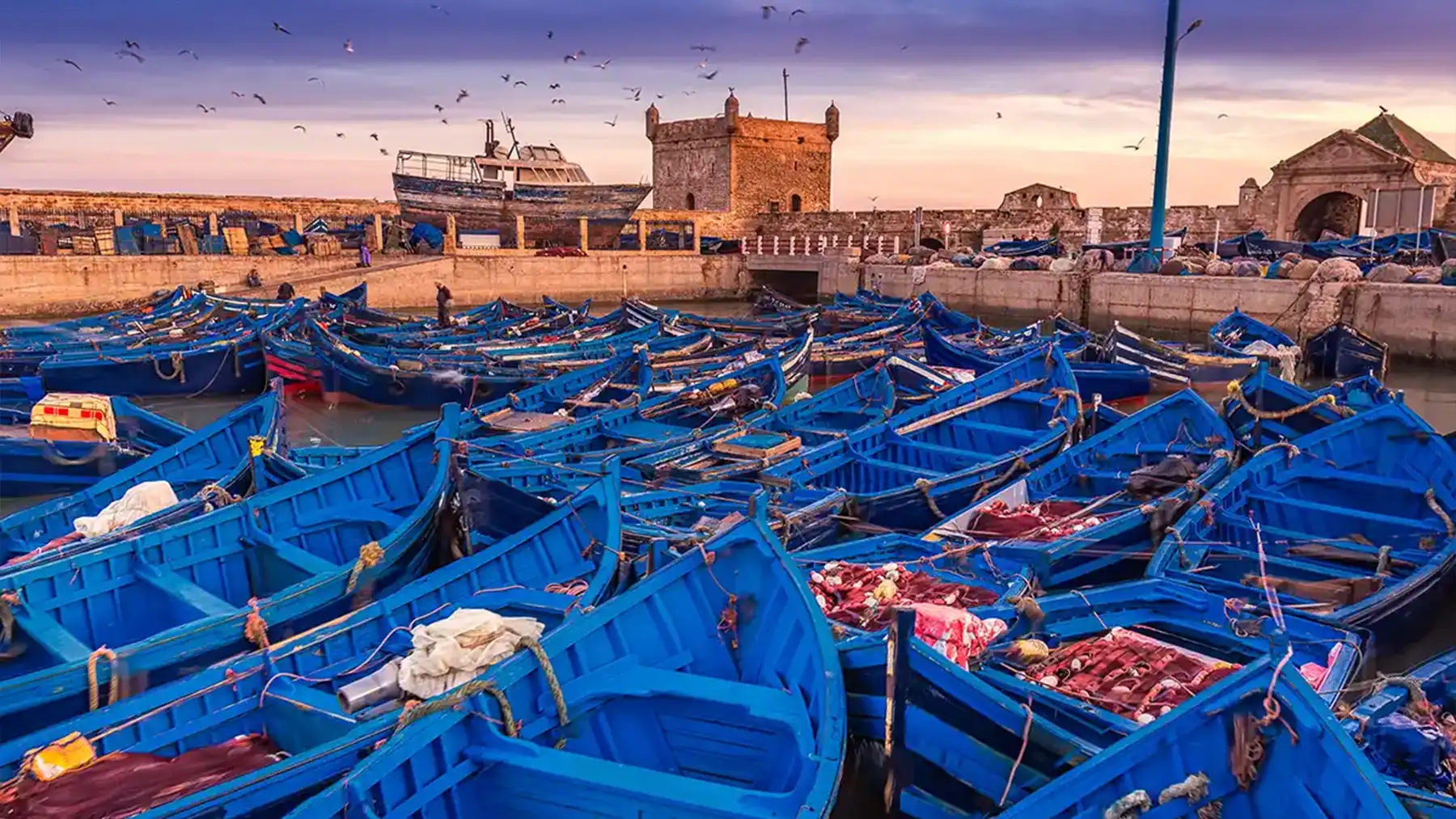 Morocco Grand Tour with Desert & Essaouira gallery image 4