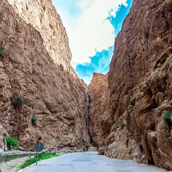 South & Kasbah Desert Tour gallery image 3