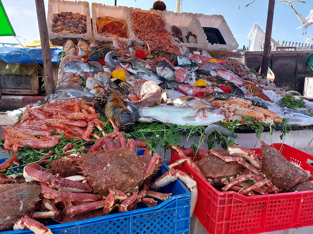 Traditional Moroccan seafood market in Essaouira